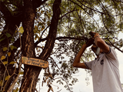 Canopy